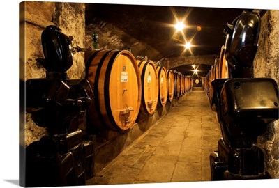 Italy, Tuscany, Chianti, The abbey of San Lorenzo a Coltibuono, cellar