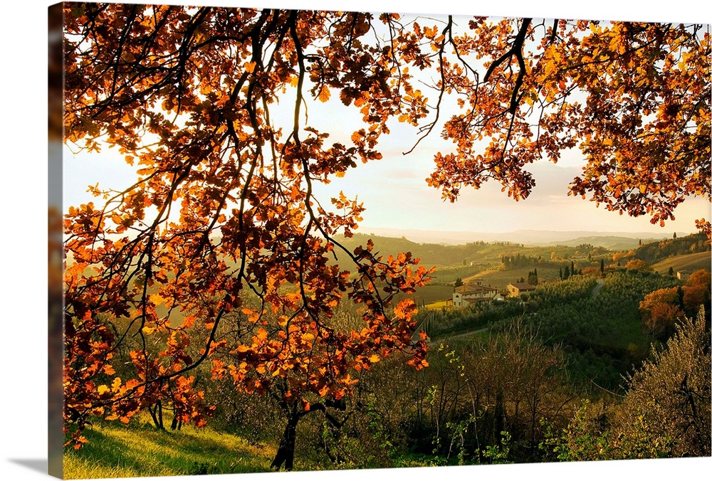 Italy, Italia, Tuscany, Toscana, Countryside near Certaldo town