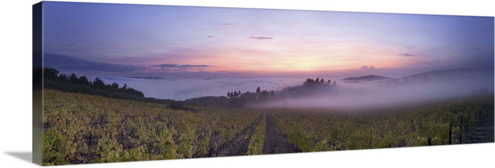 Italy, Tuscany, Firenze district, Chianti, Greve in Chianti, sunset view near Panzano