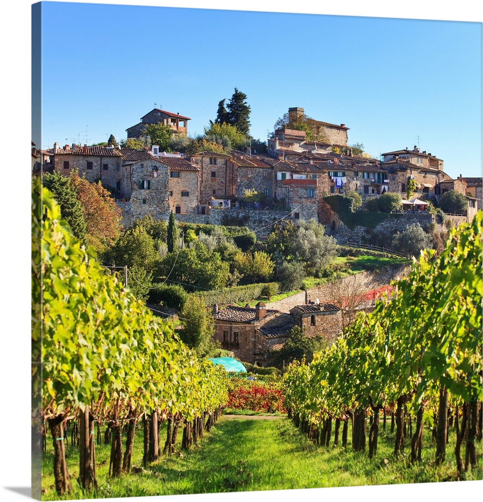 Italy, Tuscany, Firenze district, Chianti, Montefioralle.