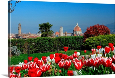 Italy, Tuscany, Florence, View of the Duomo Santa Maria del Fiore and Palazzo Vecchio