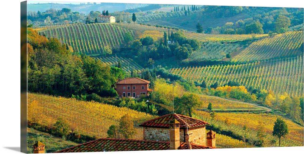Italy, Tuscany, Hills near San Gimignano