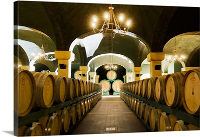 Italy, Tuscany, Orcia Valley, Montalcino, Brunello wine casks in Caparzo farm