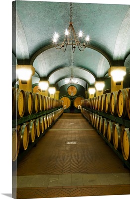 Italy, Tuscany, Orcia Valley, Montalcino, Brunello Wine casks in Caparzo farm