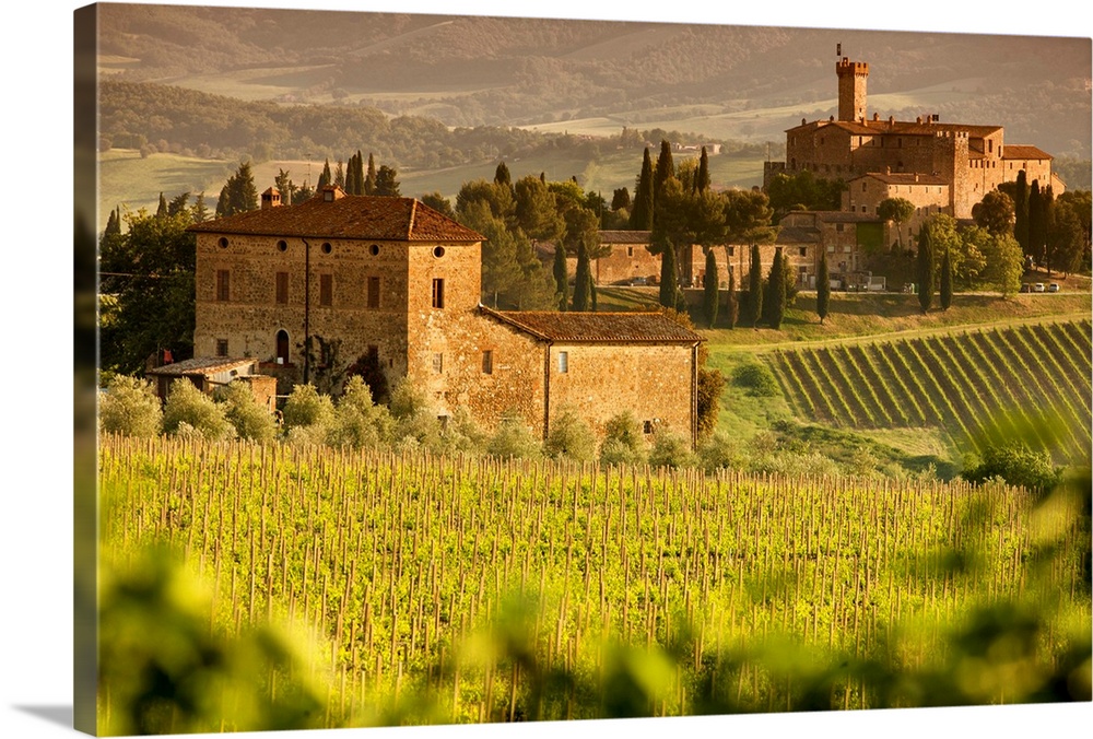 Italy, Tuscany, Siena district, Orcia Valley, Montalcino, Poggio alle Mura Castle (called Banfi Castle) and Sangiovese vin...