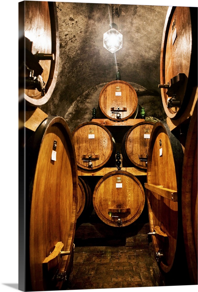 Italy, Tuscany, Mediterranean area, Siena district, Orcia Valley, Montalcino, Wine cellar