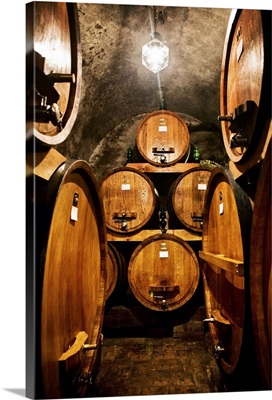 Italy, Tuscany, Orcia Valley, Montalcino, Wine cellar