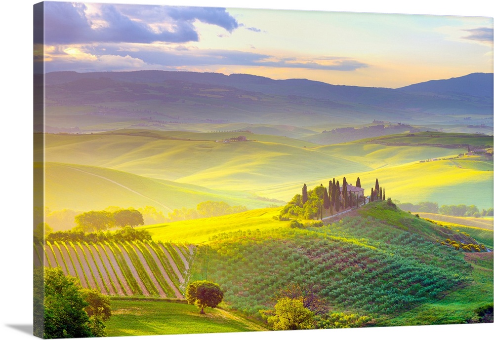 Italy, Tuscany, Siena district, Orcia Valley, Tuscan landscape near San Quirico d Orcia at sunrise.