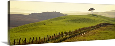 Italy, Tuscany, Orcia Valley, Typical countryside