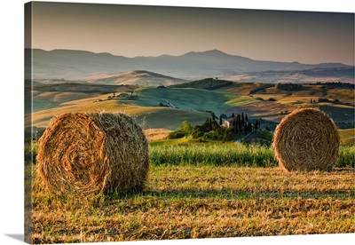 Italy, Tuscany, Orcia Valley, Typical countryside near San Quirico d'Orcia