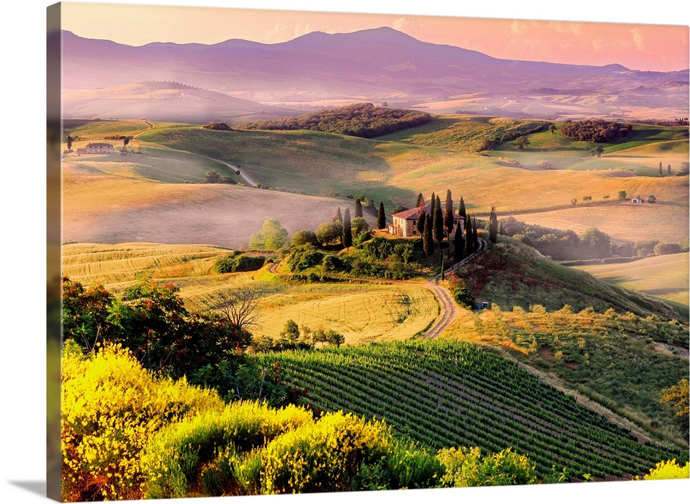 Italy, Italia, Tuscany, Toscana, Orcia Valley,Val d'Orcia, Typical landscape near San Quirico d'Orcia town