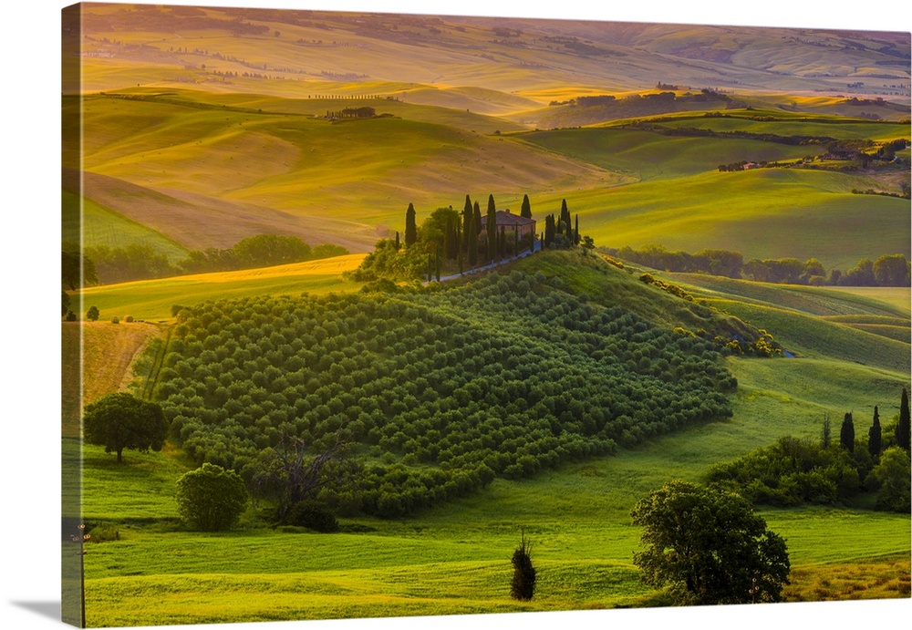 Italy, Tuscany, Siena district, Orcia Valley, San Quirico d'Orcia, Podere Belvedere, typical farmhouse near San Quirico d'...
