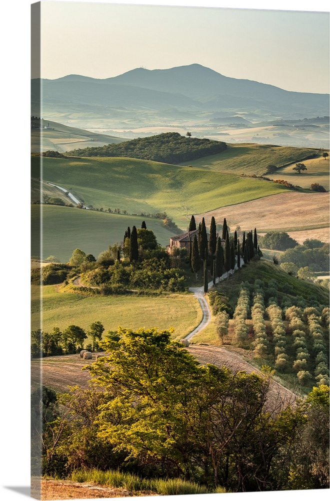Italy, Tuscany, Siena district, Orcia Valley, San Quirico d'Orcia, Podere Belvedere, typical farmhouse near San Quirico d'...