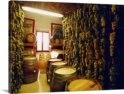 Italy, Tuscany, Ristonchi, La Doccia Farm, winecellar, wine barrels