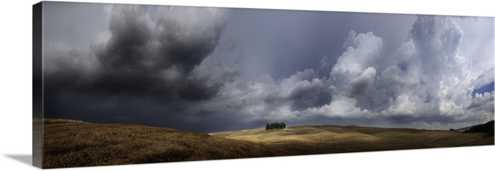 Italy, Tuscany, San Quirico d'Orcia, Storm over group of cypress trees.