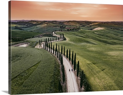 Italy, Tuscany, Siena District, Asciano, Typical Landscape Of The Crete Senesi
