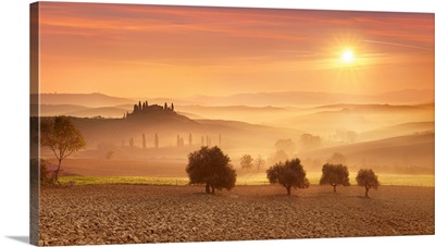 Italy, Tuscany, Siena District, Orcia Valley, Landscape At Sunrise, Val d'Orcia