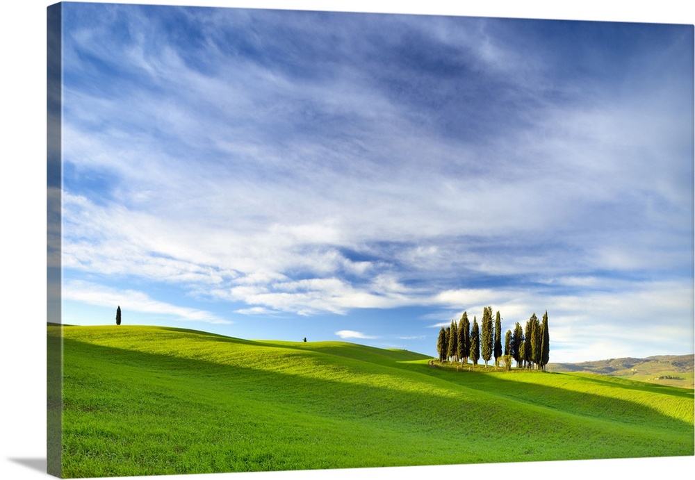 Italy, Tuscany, Siena district, Orcia Valley, Landscape near San Quirico d'orcia