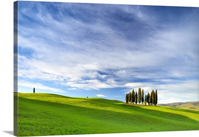 Italy, Tuscany, Siena District, Orcia Valley, Landscape Near San Quirico D'orcia