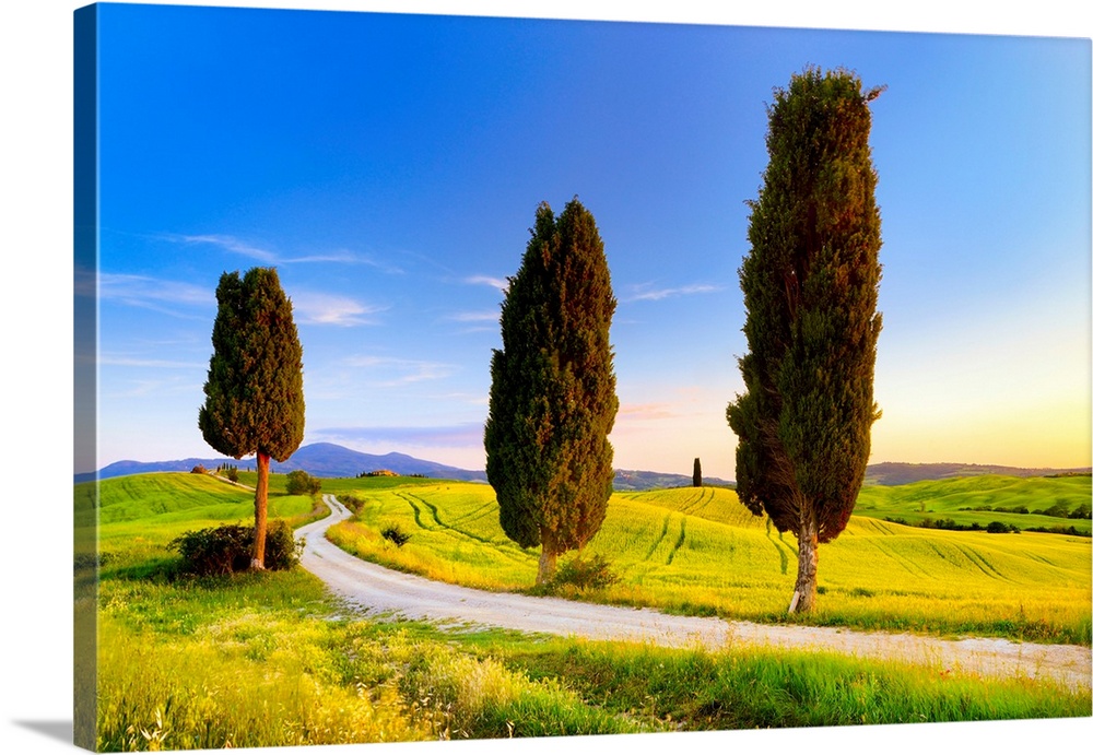 Italy, Tuscany, Siena district, Orcia Valley, Tuscan landscape near Pienza.