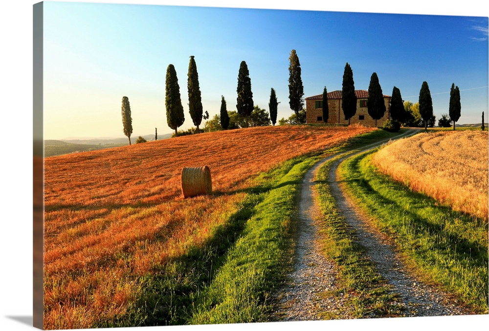 Italy, Tuscany, Siena district, Orcia Valley, Typical country house near Pienza