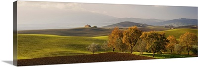 Italy, Tuscany, Siena district, Orcia Valley, Typical hilly landscape