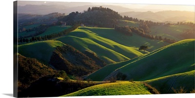 Italy, Tuscany, Typical countyside near Volterra village