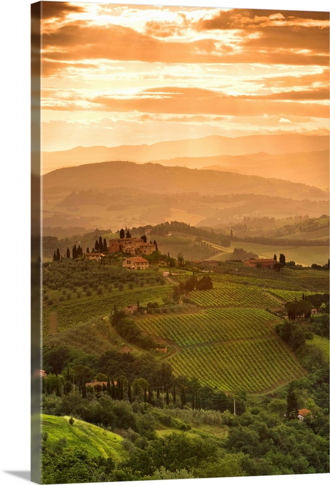 Italy, Tuscany, Val d'Elsa, Sunrise over a typical rural Tuscan landscape