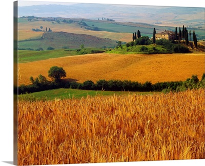 Italy, Tuscany, Val d'Orcia, typical countryside