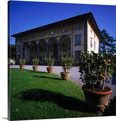 Italy, Tuscany, Villa Oliva Buonvisi