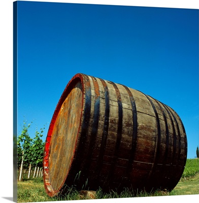 Italy, Tuscany, Wine barrel in Chianti district