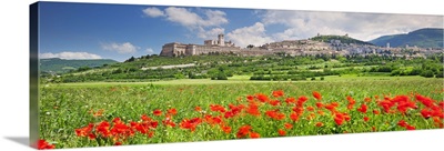 Italy, Umbria, Perugia district, Assisi, The town in spring
