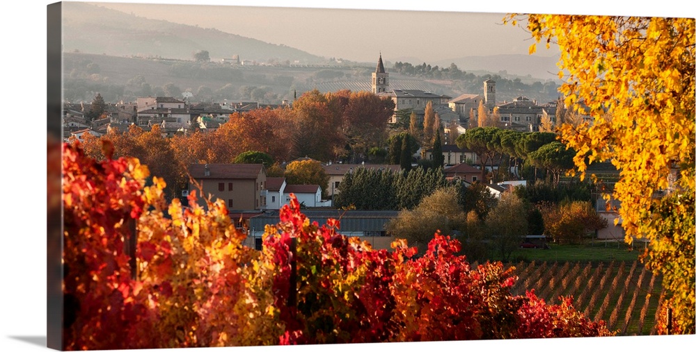 Italy, Umbria, Mediterranean area, Sagrantino wine road, Perugia district, Bevagna, Town and Sagrantino vineyards