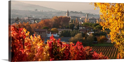 Italy, Umbria, Sagrantino wine road, Bevagna, Town and Sagrantino vineyards