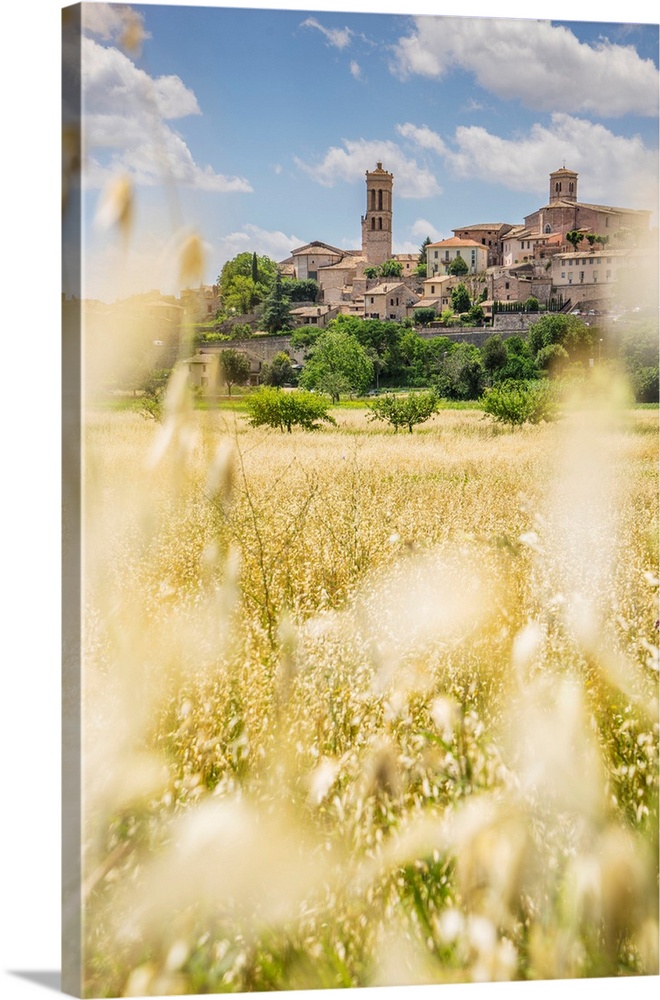 Italy, Umbria, Spello, View of the town from via Francesco Mauri.