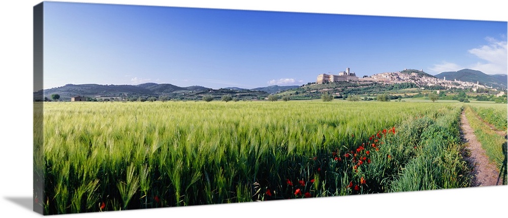 Italy, Umbria, View towards Assisi town