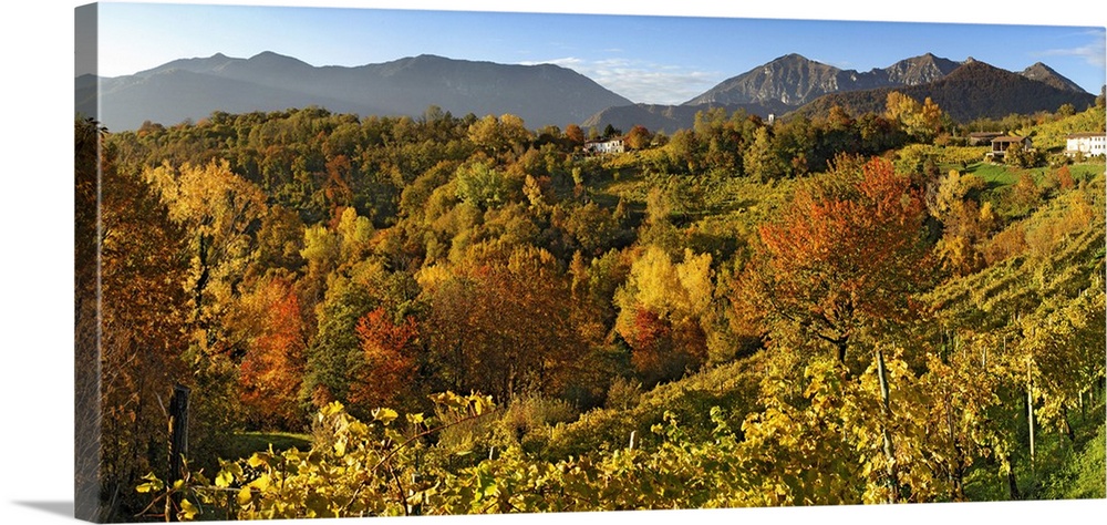 Italy, Veneto, Cison di Valmarino, Landscape near Rolle to Autumn.