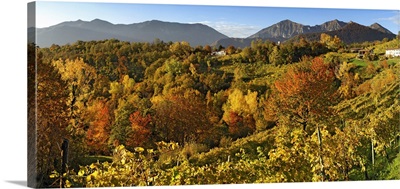 Italy, Veneto, Cison di Valmarino, Landscape near Rolle to Autumn