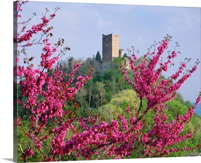 Italy, Veneto, Colli Berici, Montecchio Maggiore village, Romeo and Juliet castles
