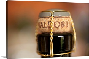 Italy, Veneto, Prosecco di Valdobbiadene wine image thumbnail