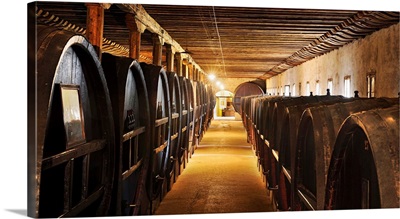 Italy, Veneto, Treviso district, San Polo di Piave, Giol winery, the great cellar