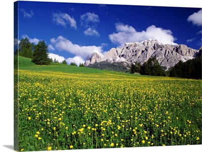 Italy, Veneto, View towards Tofane mountains