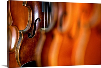 Italy, Veneto, Workshop of Igor Moroder, violin maker and restorer, violins