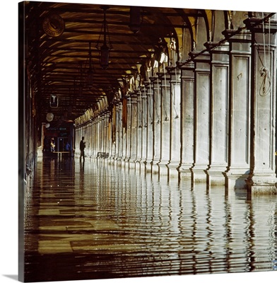 Italy, Venice, Porch of Procuratie Vecchie, reflection