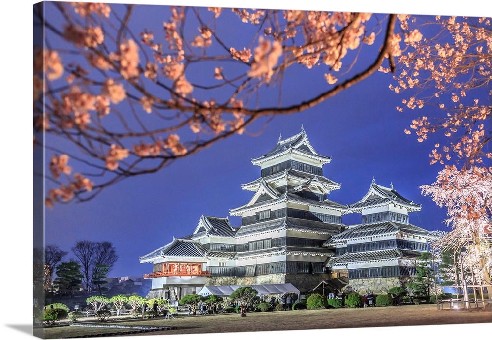 Japan, Chubu, Matsumoto, Matsumoto Castle during the cherry blossom, sakura, by night.