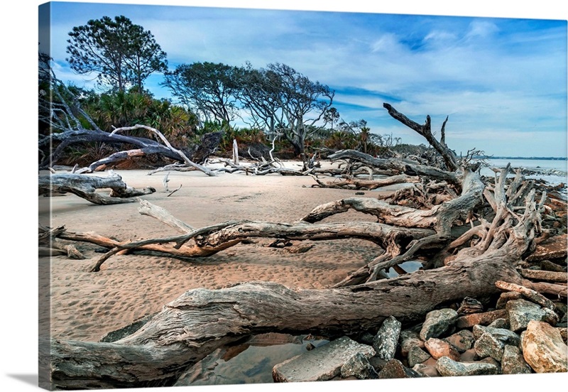 Jekyll Island, Driftwood Beach Wall Art, Canvas Prints, Framed Prints ...