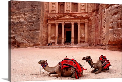 Jordan, Maan, Petra, Camels resting near The Treasury