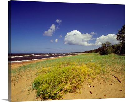 Latvia, Tuja, view of the coast