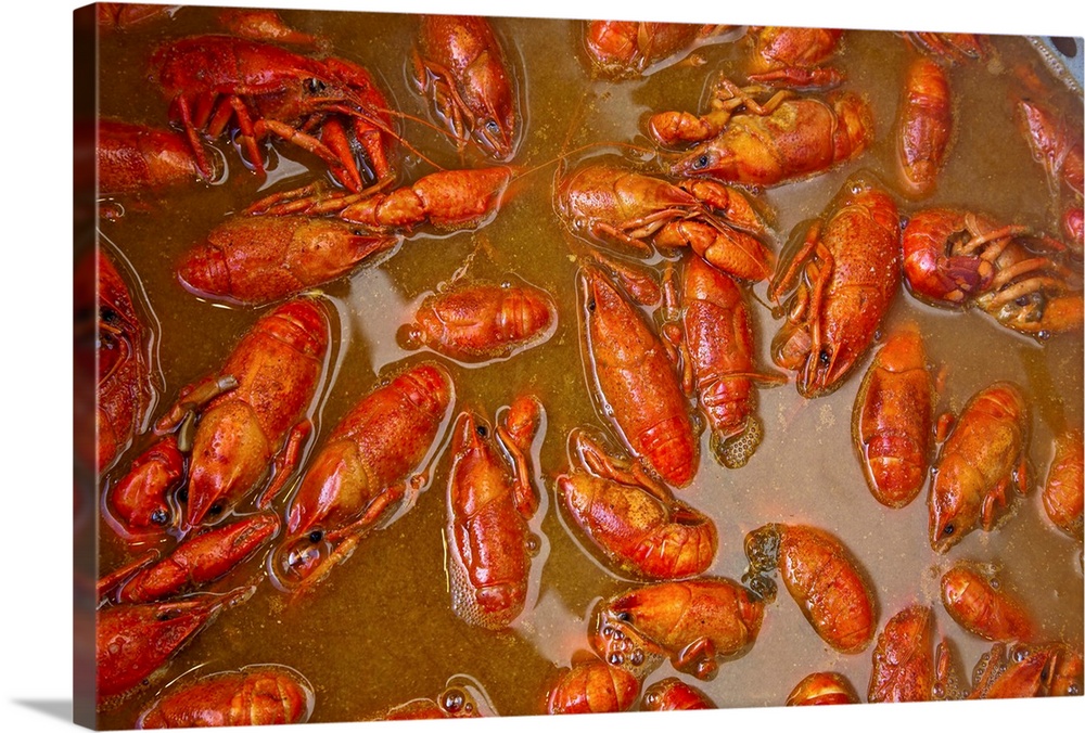 Louisiana, New Orleans, crawfish cooking