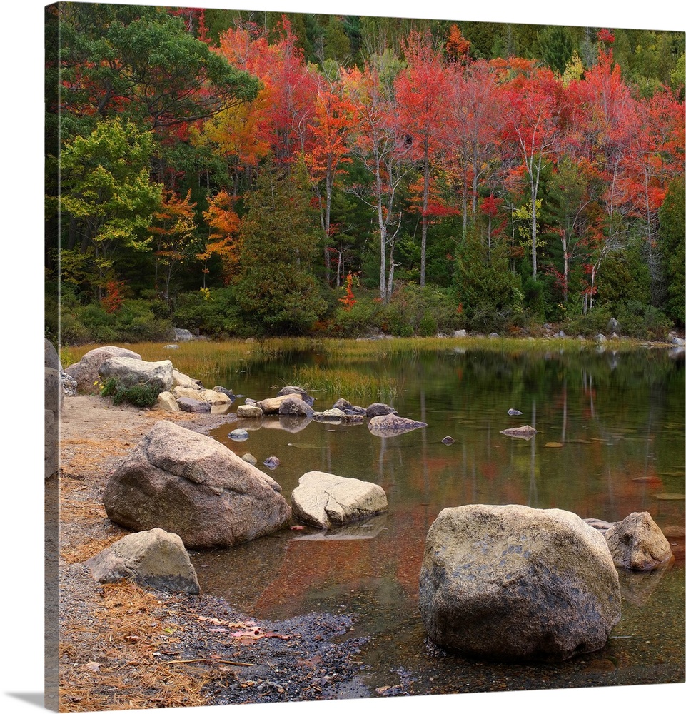 Maine, Mount Desert Island, Autumn colors at Bubble Pond